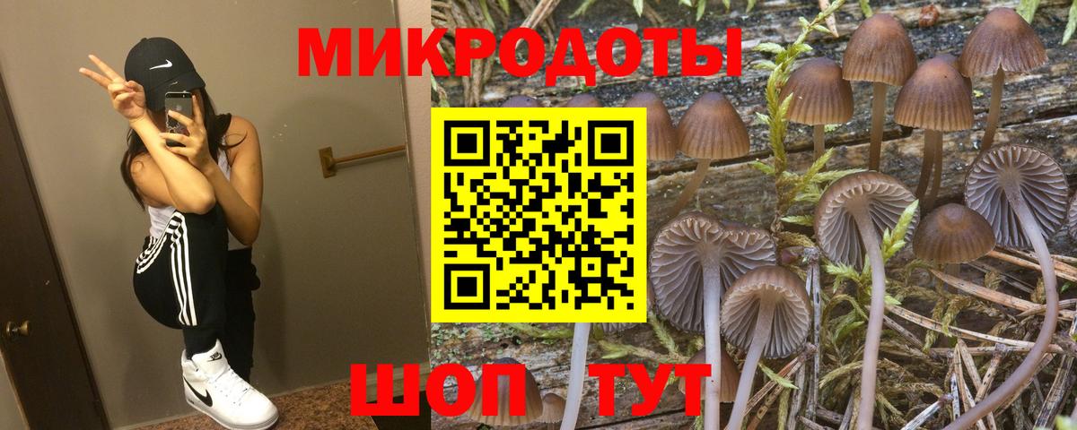 Псилоцибиновые грибы GOLDEN TEACHER Лесозаводск