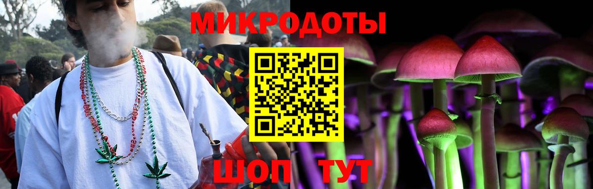 Псилоцибиновые грибы мицелий  Вход с VPN  Лесозаводск 